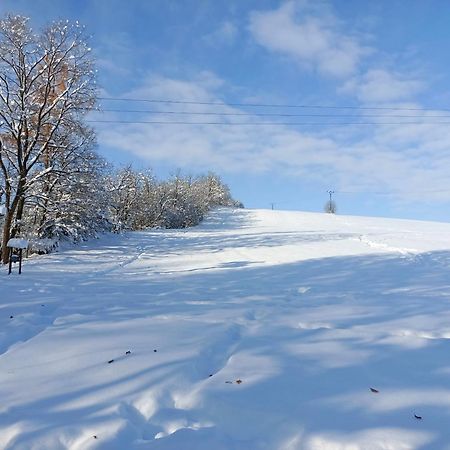 Doudleby U Ceskych Budejovic Bagian luar foto